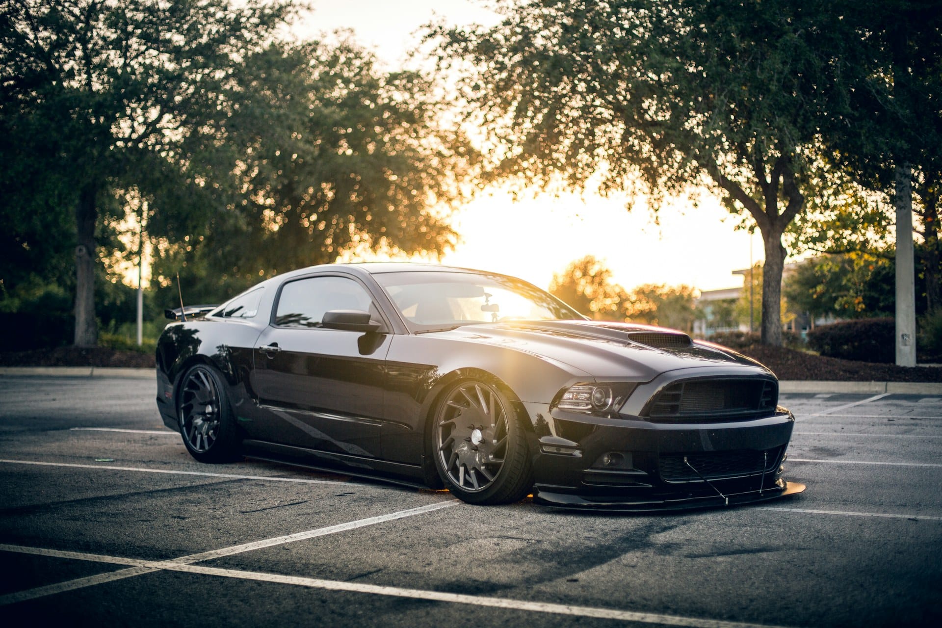 Freshly detailed black Ford Mustang